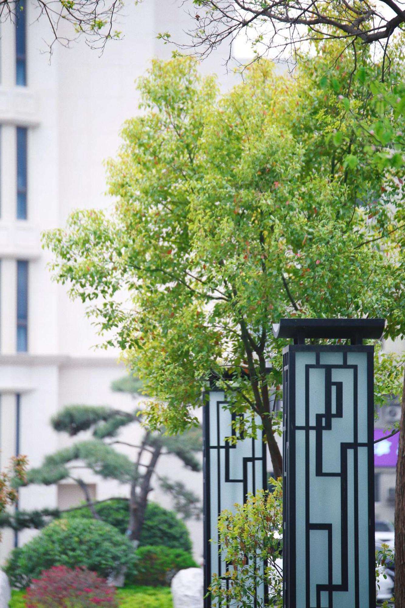 Holiday Inn Zhengzhou Zhongzhou By Ihg Dış mekan fotoğraf